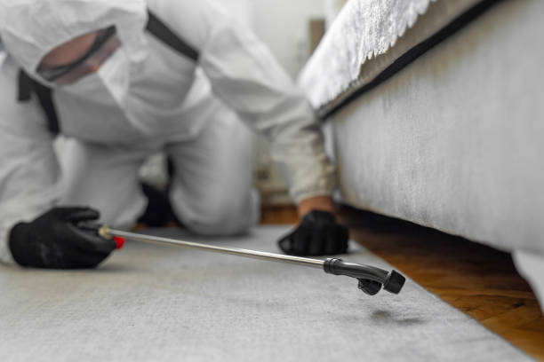 Professional Termite Control technician working in La Monte, MO