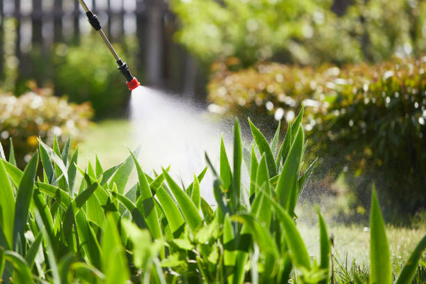 24/7 Emergency Termite Control experts in La Monte, MO