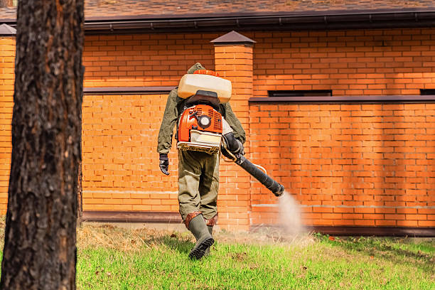 Top rated local Termite Control specialists in La Monte, MO